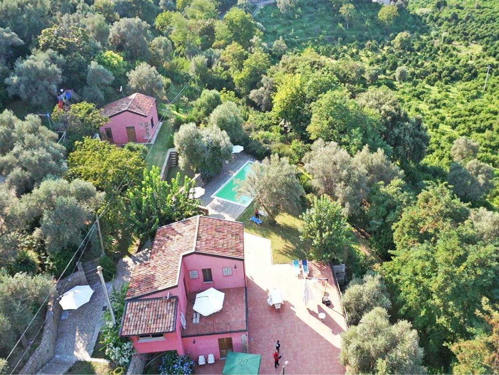Agricontura Guest House Capri Leone Ruang foto