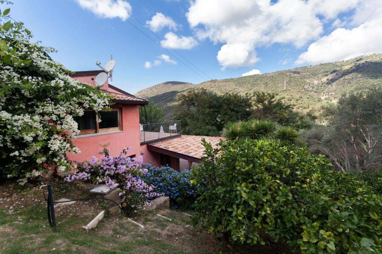 Agricontura Guest House Capri Leone Bagian luar foto